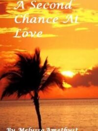 Cover image of A Second Chance At Love (boyxboy)