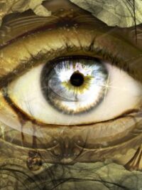 Cover image of Into the Mirror (boyXboy)