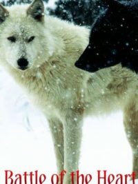 Cover image of Werewolf: Battle of the Heart [BoyxBoy]