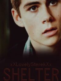 Cover image of Shelter [Sterek] BoyxBoy