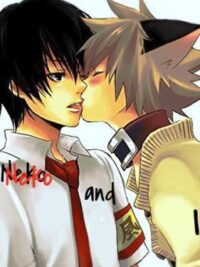 Cover image of My neko and I (BoyxBoy) aka Yaoi