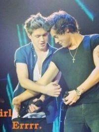 Cover image of Fangirl errrr. FanBOY! (NARRY BOYXBOY)