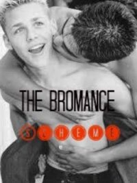 Cover image of The Bromance Scheme (boyxboy) (Editing)