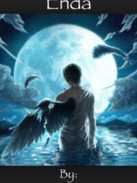 Cover image of Enda (Boyxboy)