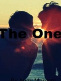 Cover image of The One (boyxboy)