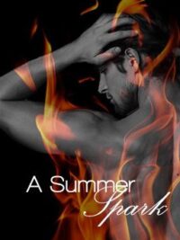 Cover image of A Summer Spark – A BoyxBoy Story