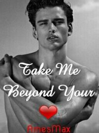 Cover image of Take Me Beyond Your Heart (sequel) boyxboy