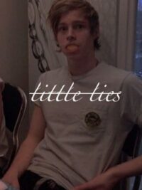 Cover image of little lies [boyxboy] cake