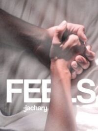 Cover image of FEELS – wdw boyxboy oneshots