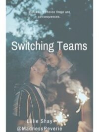 Cover image of Switching Teams (BoyxBoy) (Completed)