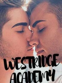 Cover image of Westridge Academy (boyxboy)