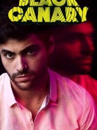 Cover image of Black Canary (2) • boyxboy | Arrow