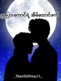 Cover image of ၉၉ပြားကောင်၏ အိမ်ထောင်ဖက်